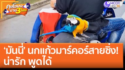 น่ารัก 'มันนี่' นกแก้วมาร์คอร์สายซิ่ง พูดได้ (26 ส.ค. 65) คุยโขมงบ่าย 3 โมง