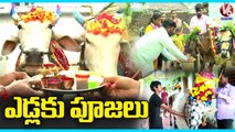 Polala Amavasya, Festival Dedicated To Bulls and Cows | Adilabad | V6 News