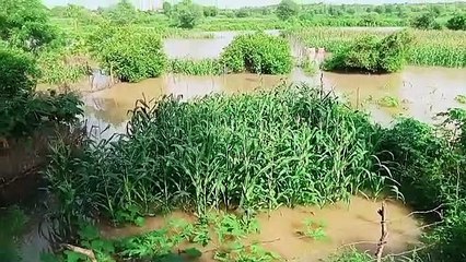 टूटे घर और नष्ट फसल को देख निकल रहे आंसू