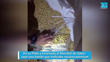 De La Plata y Ensenada al Mundial de Qatar