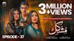 Mushkil Episode 37 - Saboor Ali - Khushhal Khan - Zainab Shabbir - 25th Aug 2022