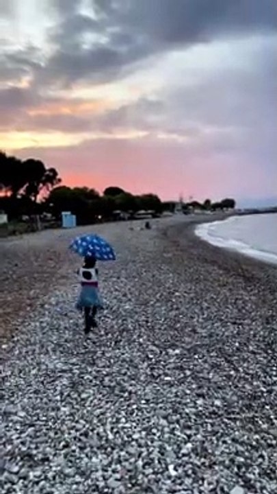 Χριστίνα Κοντοβά: Το βίντεο με την μικρή Ada που τρέχει στην παραλία- Η μικρή είναι μια κούκλα!