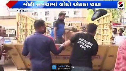 વડોદરામાં રખડતા ઢોરોને પકડવા તંત્ર કામે લાગ્યું