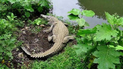 One In A Million Moments Captured On Camera