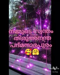 Exciting Travel Vlogs 🌍