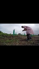 Day 3 - I pledge to Plant 100,000,000 Trees, My Biggest world record Project Ever!