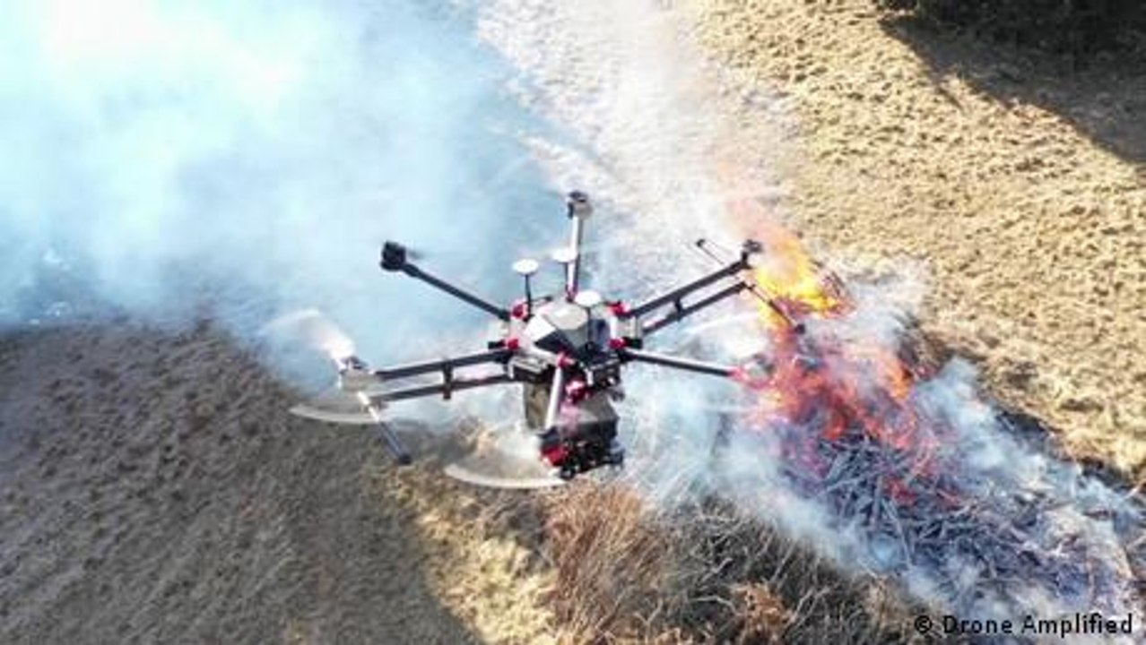 Forest fire prevention with artificial intelligence