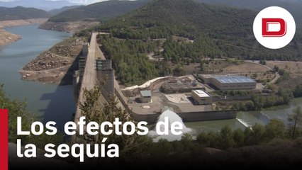 Los efectos de la sequía se hacen notar en el sector agrícola y energético