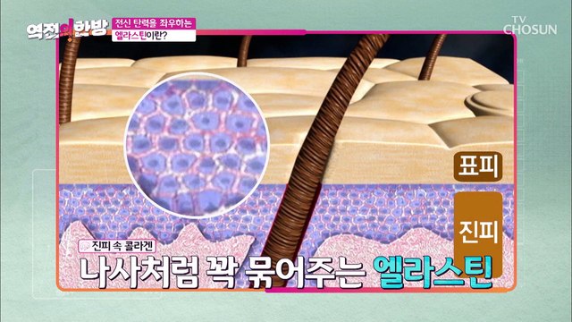 우리 몸 전신의 탄력 유지에 필수 ✧엘라스틴✧ TV CHOSUN 20220826 방송