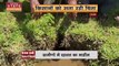 MP Dam Leakage: कभी भी फूट सकता है देवरगढ़ बांध! कई गांवों के डूबने का खतरा | Devargarh Dam|Dhar Dam