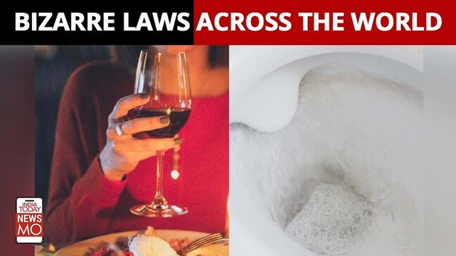 Singapore Charges You Money For Not Flushing Toilets, Here Are Bizarre Laws Around The World