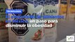 El etiquetado de alimentos en México, un paso para disminuir la obesidad