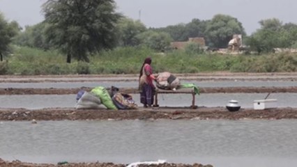 Casi mil fallecidos en dos meses por las inundaciones en Pakistán