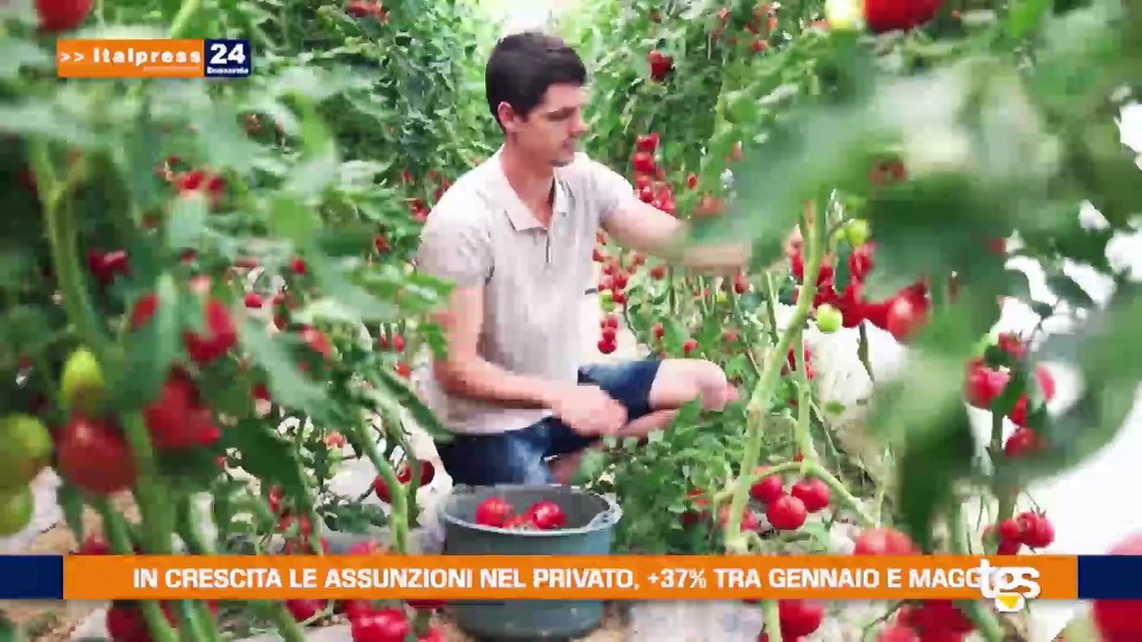 Il Tg Economia del 26 agosto