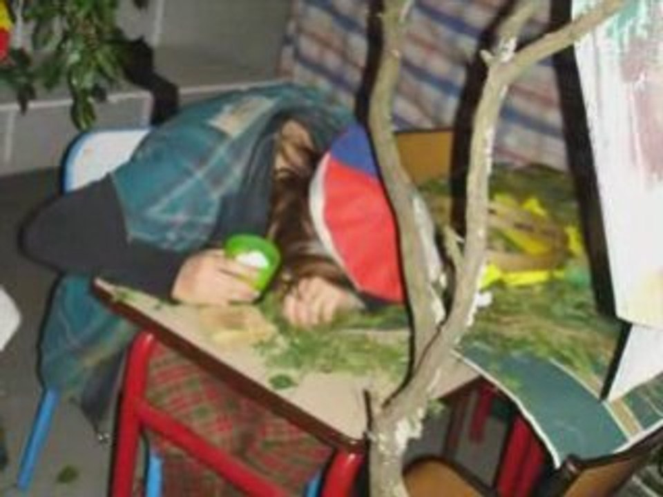 Davaye 2006
