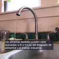 Organización ambiental busca categorizar PFAS como sustancias peligrosas