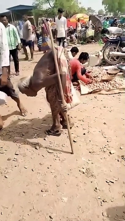 Amazing Video On The Internet
