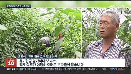 천적 활용 친환경농법…농가 소득에 큰 보탬