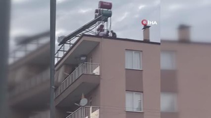 Bingöl haber: Genç kız çatıdaki eyleminden köpeklerine kavuşunca vazgeçti