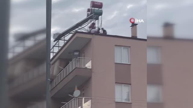 Bingöl haber: Genç kız çatıdaki eyleminden köpeklerine kavuşunca vazgeçti