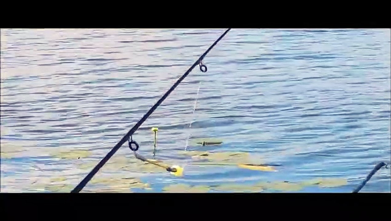 Do this and you can able to achieve everything||motivational story