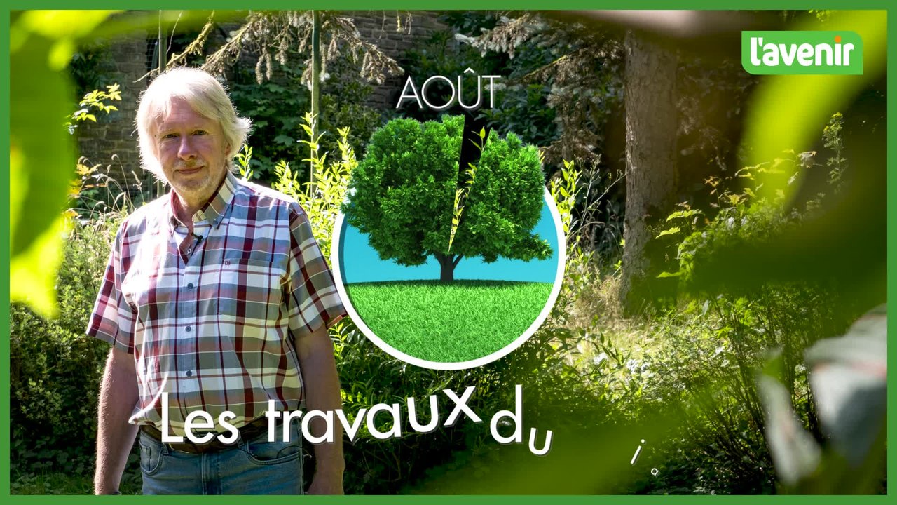 Jardin - Deux plantes très intéressantes