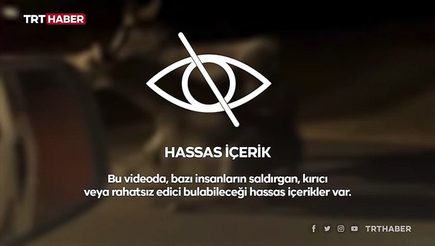 Traktörün arkasına bağladığı eşekleri sürükleyerek götürdü