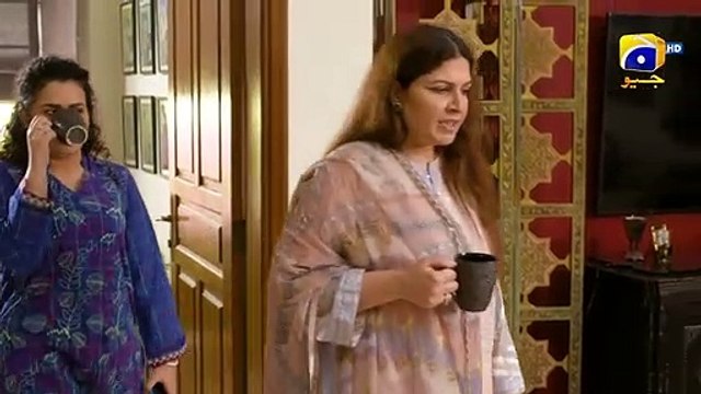 Sameen Ka Mere Ghar Pe Qabza Mushkil Flo Digital