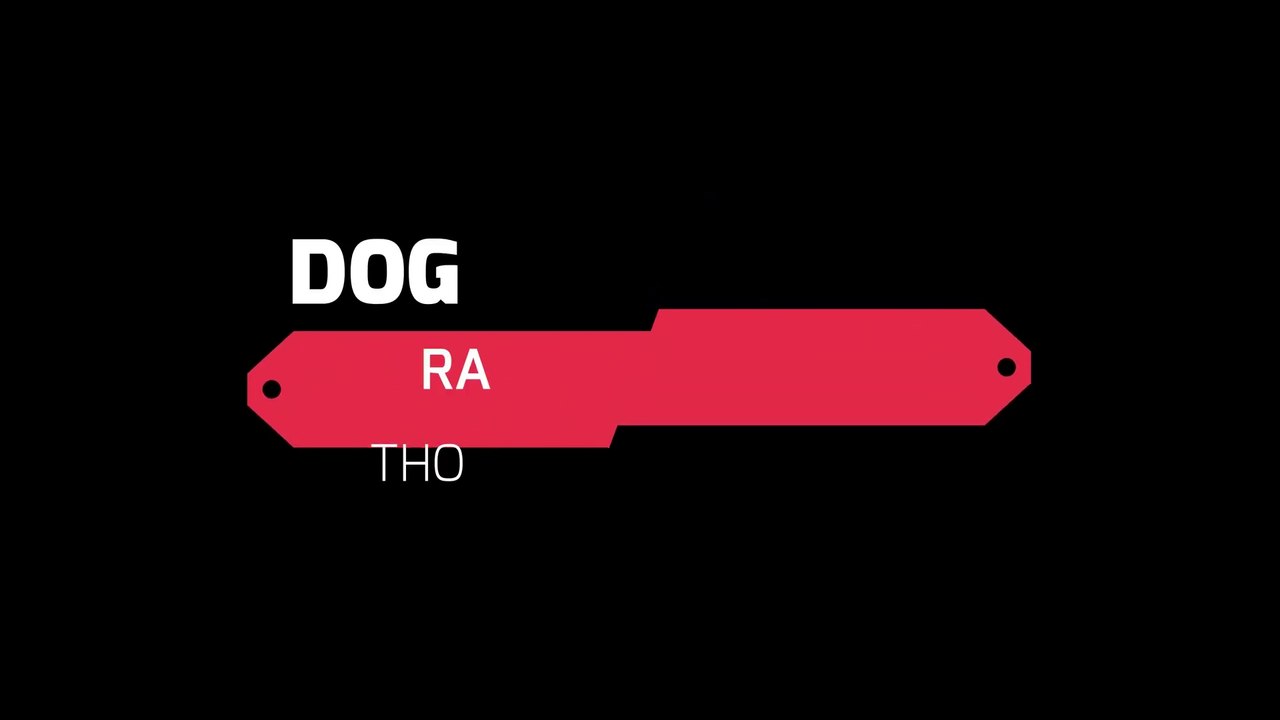 HOW_TO_TRAIN_YOUR_PUPPY_FOR_FOOD_DISCIPLINE___3_MONTHS_OLD_ROTTWEILER