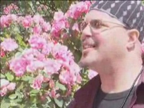 CHEB REDOUANE BILY RIEN NE PASSE