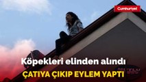 Antalya'da köpekleri elinden alındığı için çatıya çıkan kadın, köpekleri getirilince eylemine son verdi
