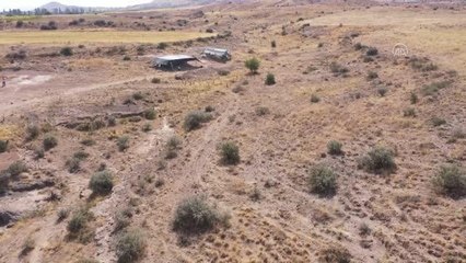 Canlı fosili literatürüne girecek yeni tür "Sofular" adını alacak