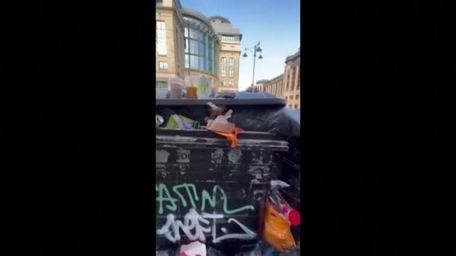 La basura invade las aceras de Edimburgo tras días de huelga de los trabajadores de limpieza