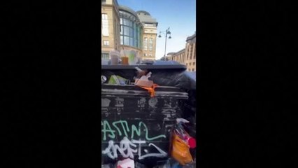 La basura invade las aceras de Edimburgo tras días de huelga de los trabajadores de limpieza