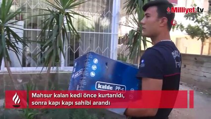 Mahsur kalan kedi önce kurtarıldı, sonra kapı kapı sahibi arandı
