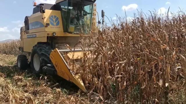 Osmaniye haber: Osmaniyeli Çiftçi: Tarlalarımızı Herhalde Yeni Seneye Bankalar Eker