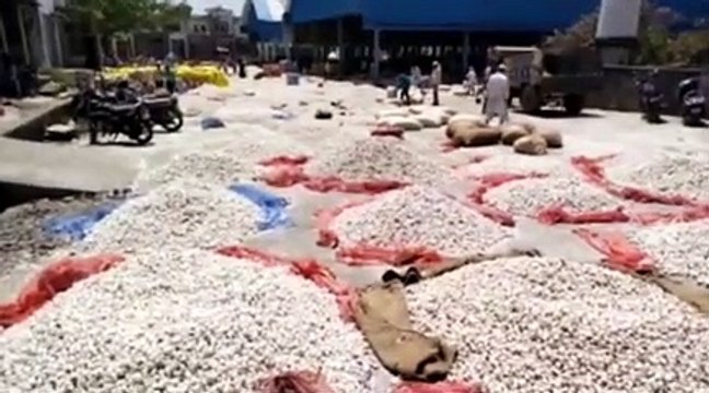 प्रतापगढ़ मण्डी भाव