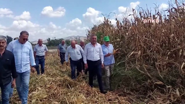 Osmaniyeli çiftçi: Tarlalarımızı herhalde seneye bankalar eker