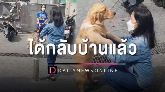 ที่แท้หมาวัด เจ้าน้ำหวาน ตูบโกลเด้นฯพลัดหลง ได้กลับวัดบวรฯ | HOTSHOT เดลินิวส์ 27/08/65