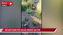 Cennet Pina Koyu’na bırakılan pis ve atık sular isyan ettirdi