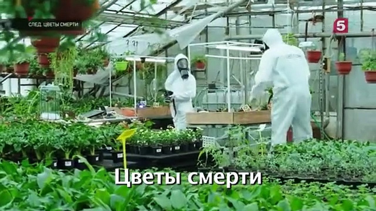След. Цветы смерти