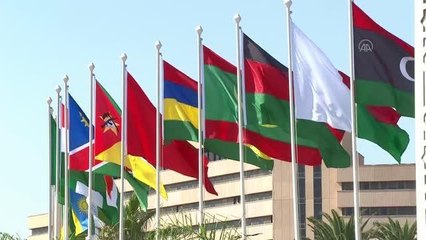 8. Tokyo Uluslararası Afrika Kalkınma Konferansı (2)