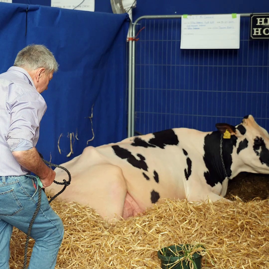 ⁣County Down farmers win 'The Baileys'