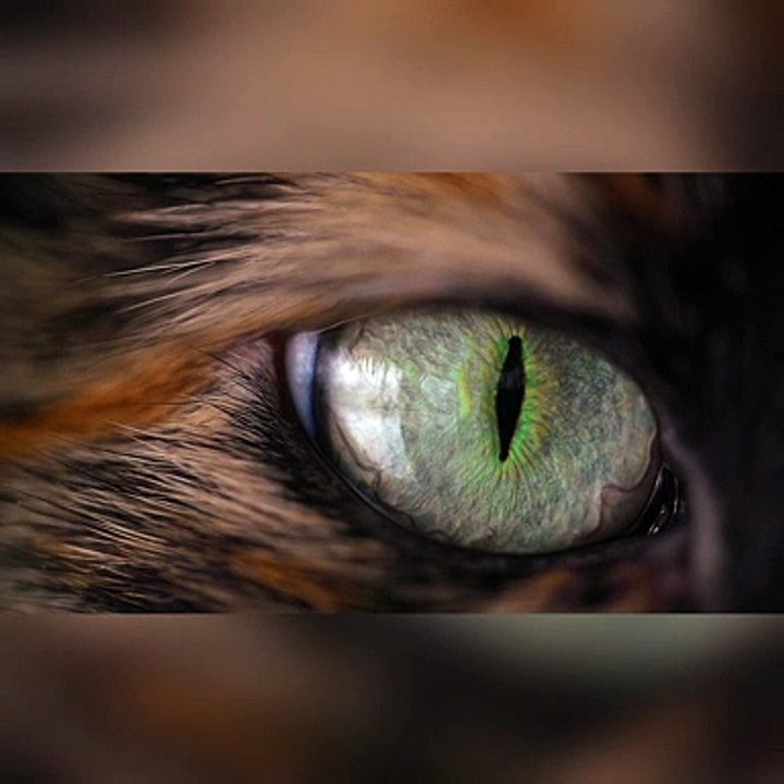 InShot_20220825_150152142