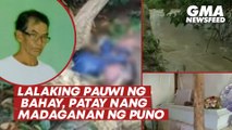 Lalaking pauwi ng bahay, patay nang madaganan ng puno | GMA News Feed