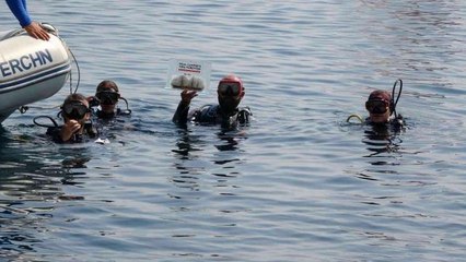 Türk Kızılayı'ndan Halep vapuruna anı dalışı