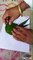 How to draw a parrot with leaves, easy way to draw parrot picture, parrot picture, parrot picture drawing,how to draw parrot,easy drawing