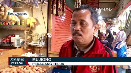 Harga Telur Selangit : Peternak Ayam Untung Kecil, Pedagang Roti Ubah Kemasan Jadi Lebih Kecil