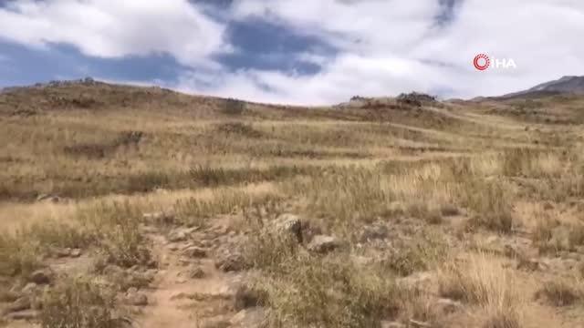 Ağrı haberi... Ağrı Dağı'nda 'Kadına Şiddete Hayır' tırmanışı yapıldı