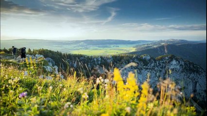 Morning Meditation Music | 5 Minute Meditation Music